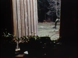Sex Crazed Lumberjacks - Remastered Grindhouse Edition - Escena2 - 1