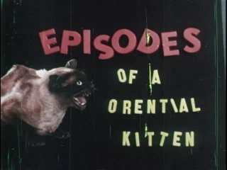Episodes Of An Oriental Sex Kitten - Remastered Grindhouse Edition - Escena1 - 1