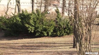 Public Pickups - Escena4 - 4