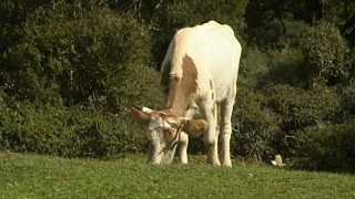 Geiler Sexurlaub - Scène2 - 1