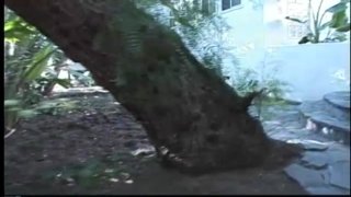 The Video Adventures of Peeping Tom Number 26 - Scene4 - 1