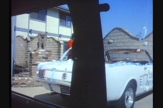 Free and Foxy - Scene2 - 2