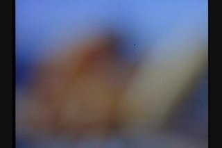 Free and Foxy - Scene4 - 6