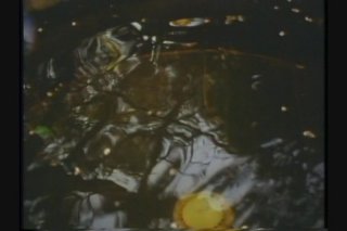 Raincoat Crowd, The - Scena8 - 4