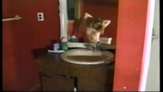 The Best Of Struggle In Bondage Vol. 6 - Cena3 - 3