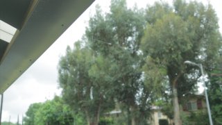 Carter Cruise Wide Open - Scene1 - 1