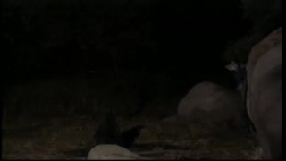 Fucked By Everything - Scene12 - 1