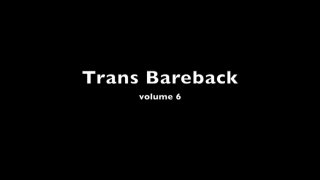 Trans Formers - Szene1 - 1