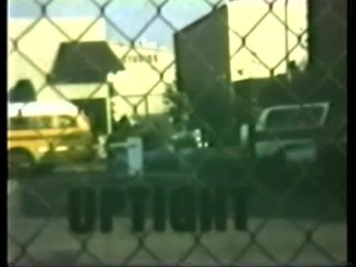 Peepshow Loops 71: 70s &amp; 80s Color - Cena7 - 1