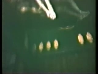 Peepshow Loops 71: 70s &amp; 80s Color - Cena14 - 3