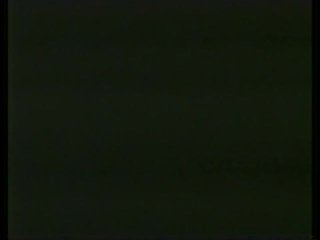 Peepshow Loops 71: 70s &amp; 80s Color - Cena16 - 1