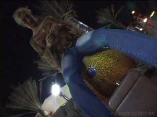 Call Girls Undercover #2 - Scena4 - 2