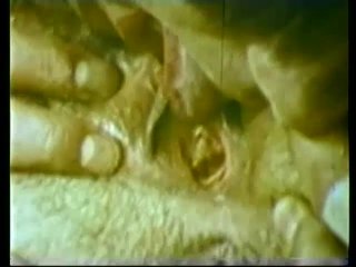 Peepshow Loops 208 70s &amp; 80s Color - Szene6 - 4