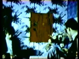 Peepshow Loops 208 70s &amp; 80s Color - Szene10 - 3