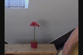 Bareback Bisex Cream Pie Film 2 - Scene3 - 1