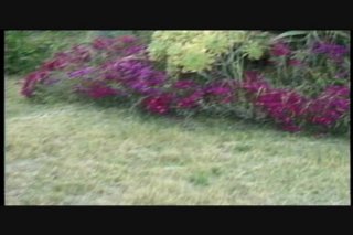 Oh My Gush #10 - Scene4 - 1