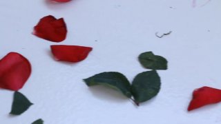 Lesbian Tear Jerkers - Scena1 - 1
