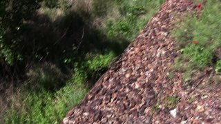 Innocent Spanish Girls Pounded Hard Like Whores - Scene3 - 3