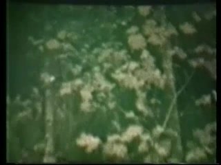 Peepshow Loops 193: 70&#39;s &amp; 80&#39;s (Color) - Scena3 - 2