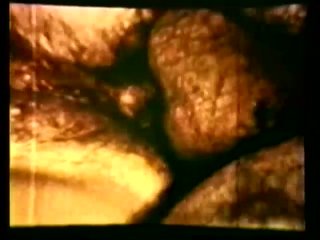 Peepshow Loops 193: 70&#39;s &amp; 80&#39;s (Color) - Scena11 - 5