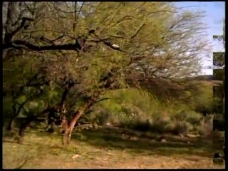Deadent D&#39;s Wet Shots #2 - Escena6 - 1