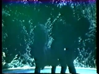 Peepshow Loops 192: 70&#39;s &amp; 80&#39;s (Color) - Cena6 - 1