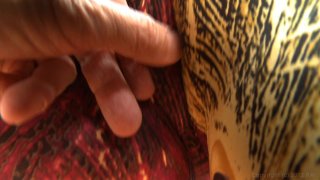 Buttman: Focused 5 - Szene2 - 2