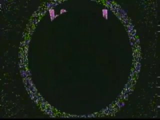 Wizzard of Odds 7, The - Scena1 - 1