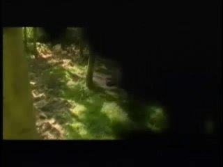 International Hot Team 3 - Scene4 - 1