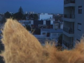 Zorra: Al Norte Del Placer - Escena2 - 2