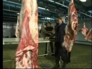 Rocco Never Dies - Scene5 - 2