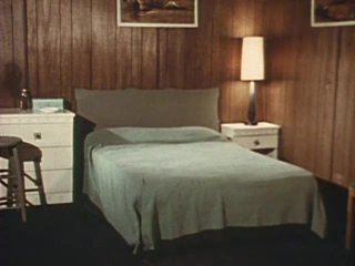 Pleasure Motel - Scene1 - 1