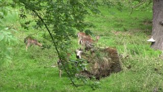 Active Outdoor Teens - Szene2 - 1