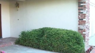 Bareback Asians - Scene3 - 1