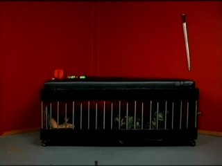 Mika Tan is a Dominatrix - Cena1 - 1
