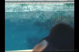 Black Pussy Hunt Vol. 10 - Cena2 - 1