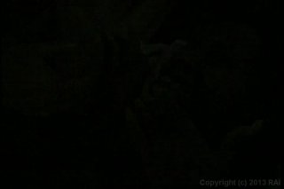 Black Pussy Hunt Vol. 12 - Escena2 - 1