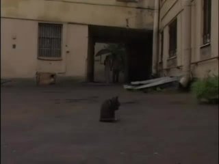 Nasty Prospects 7 - Scene2 - 1