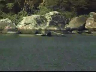 Try A Tranny Vol. 3 - Szene13 - 6