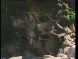 Talk Dirty To Me 3 - Scene1 - 2