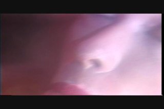 Amazing Tails 4 - Escena2 - 3