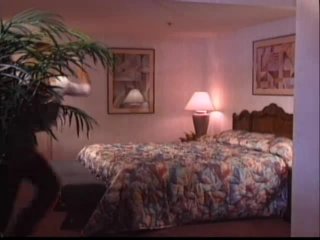 Wilder at Heart - Scene1 - 1