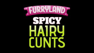 Spicy Hairy Cunts - Scène1 - 1