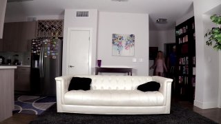 Trans Spinners - Scene4 - 1