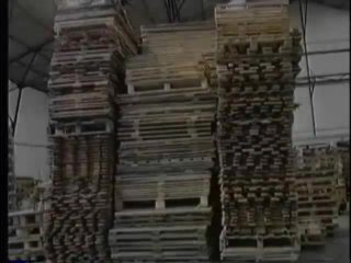 TIGV-03: Warehouse Bitch Fights - Escena1 - 1