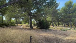 Bi threesome - Scene2 - 1