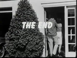 The Sexploiters - Cena5 - 6