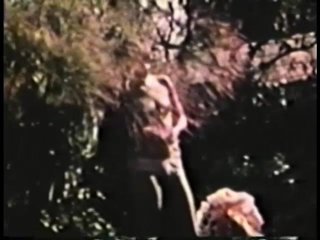 All Lesbian Peepshow Loops 561: Hardcore Rated X &#39;70s &amp; &#39;80s (All Color) - Scena2 - 2