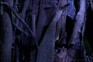 Whore of the Rings 2 - Escena6 - 2