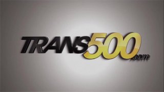 Monstercock Trans Takeover 21 - Szene2 - 1